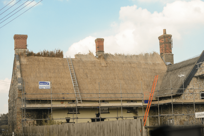 Sept 2014 thatch web