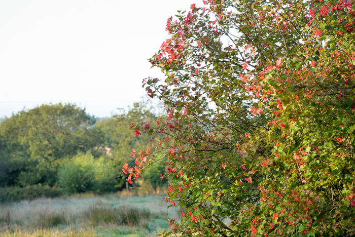 Aug 2014 cabin web-13