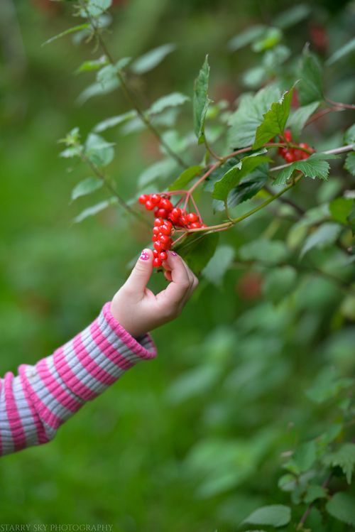 Aug 2014 cabin web-7