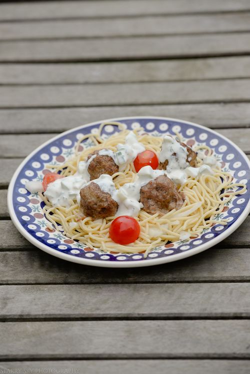 Sept 2014 gyro dish web