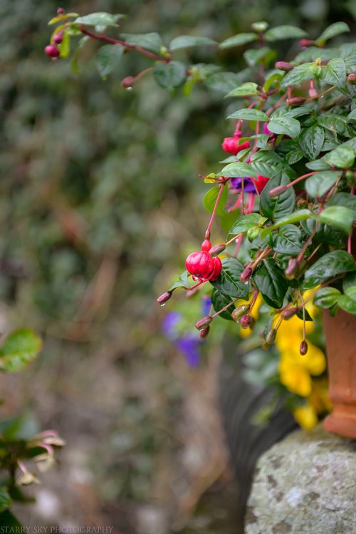 Sept 2014 sandymouth church web-4