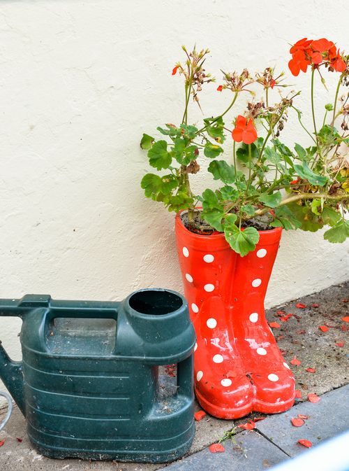 Sept 2014 wellies web