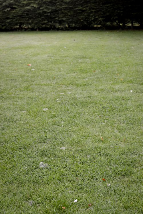 Sept 2014 spider web-2