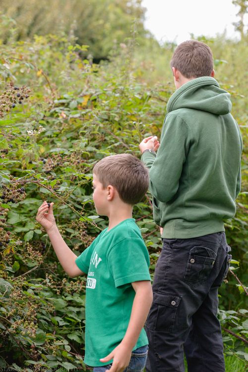 Sept 2014 berries web-7