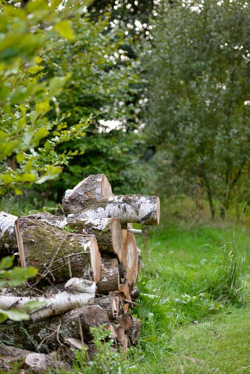 Aug 2014 cabin web-10