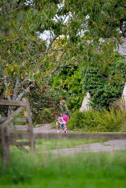 Aug 2014 cabin web-9