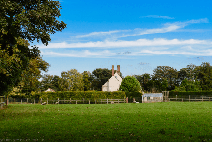 Oct 2014 fall walk web-15