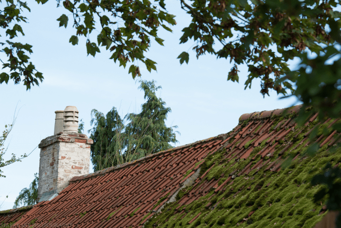 Oct 2014 fall walk web-12