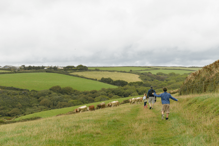 Sept 2014 dartmoor coast web-12