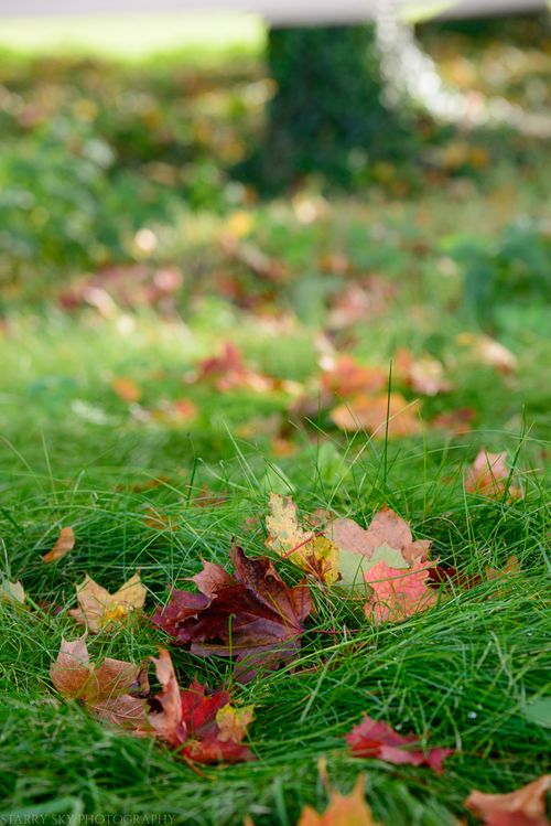 Oct 2014 fall walk web-6