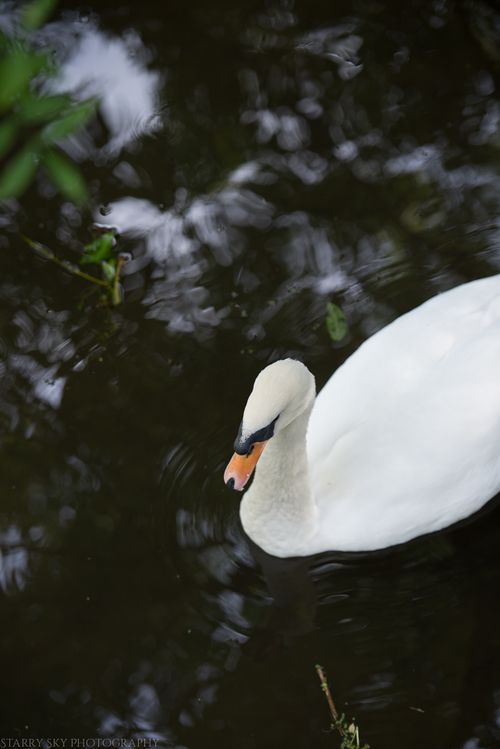 Oct 2014 fall walk web-3