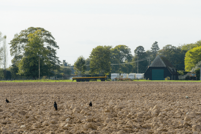 Oct 2014 fall walk web-5