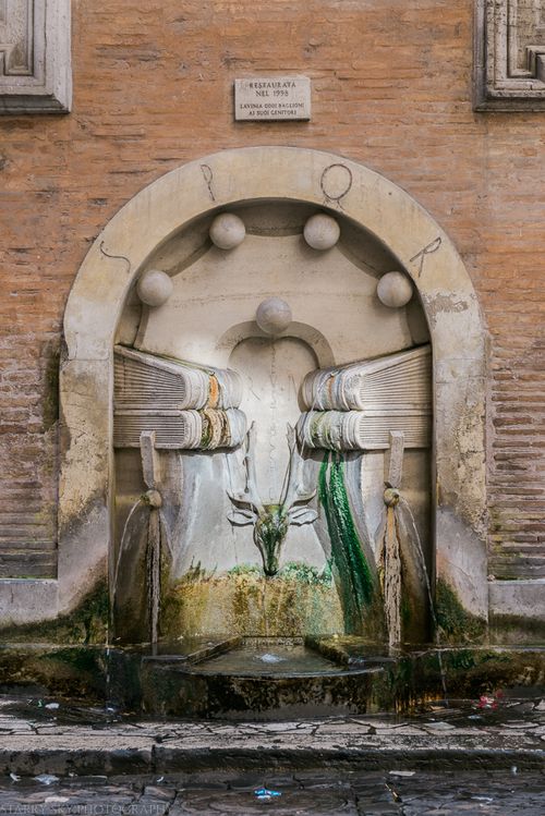 Oct 2014 rome nasoni web-7