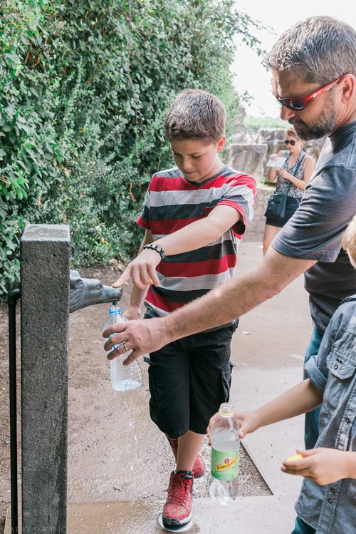 Oct 2014 rome nasoni web-3