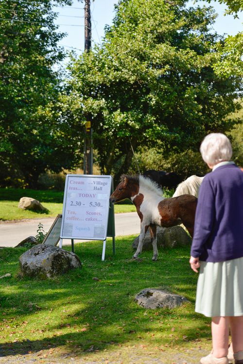 Aug 2014 lpony parking web (1 of 1)-2