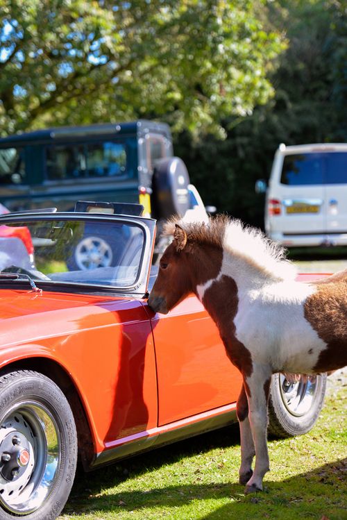 Aug 2014 lpony parking web (3 of 7)