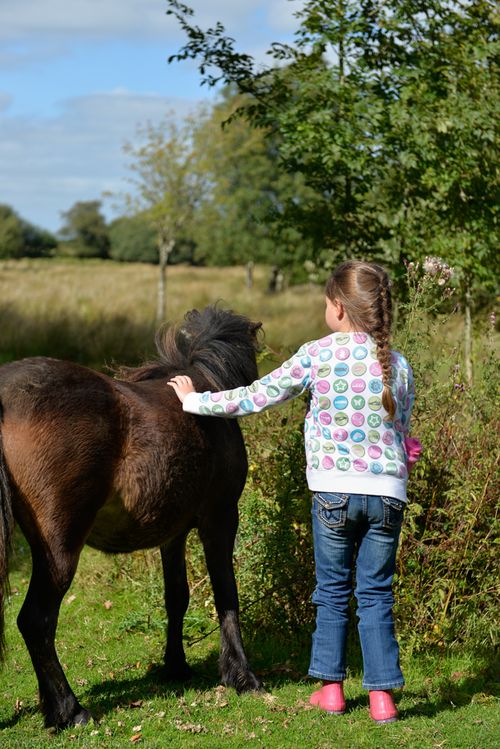 Aug 2014 lpony parking web (7 of 7)