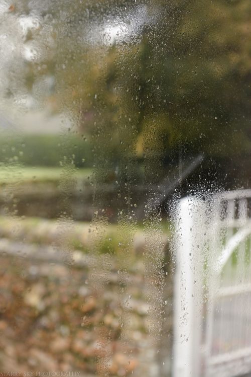 Nov 2014 rain window web (1 of 5)