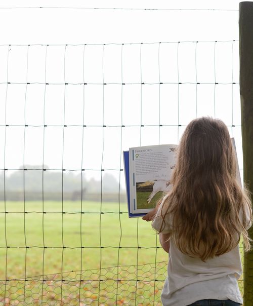 Oct 2014 mildenhall web (1 of 1)-4