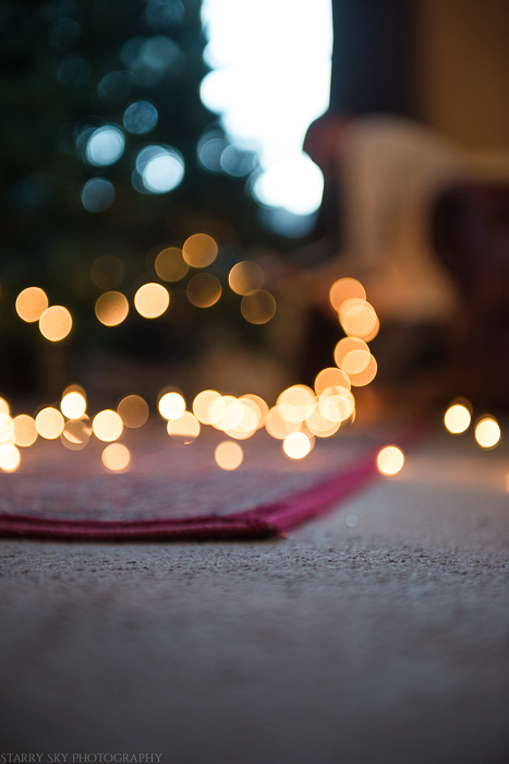 Nov 2014 cmas decor web (5 of 7)