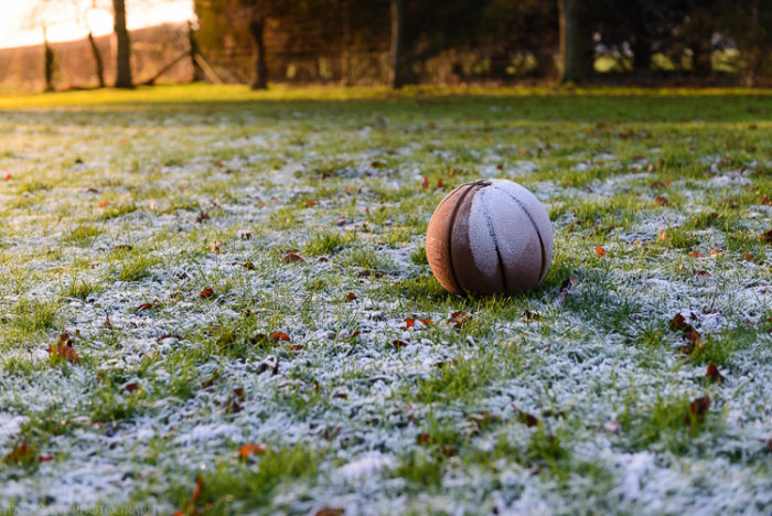 Jan 2015 frost web (1 of 1)