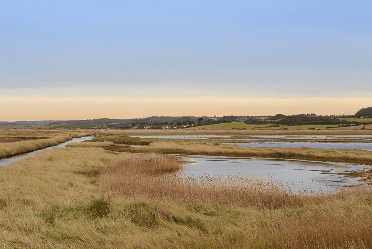 Jan 2015 cley marsh 2web (2 of 2)