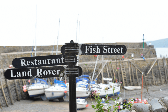 Jan 2014 clovelly web (6 of 8)