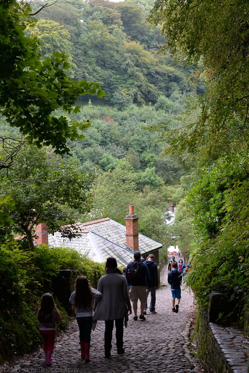 Sept 2014 clovelly 1 web (1 of 9)