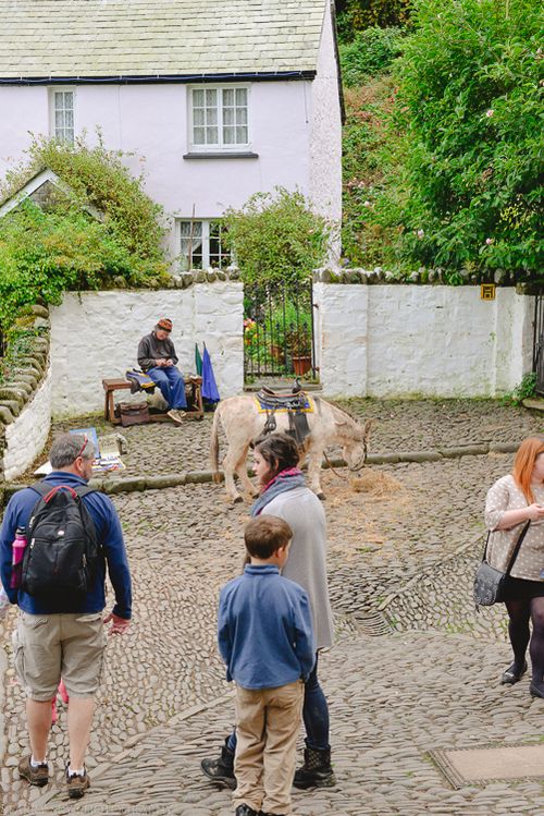 Sept 2014 clovelly 1 web (3 of 9)