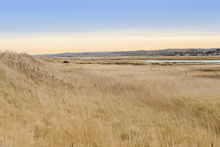 Jan 2015 cley marsh 2web (1 of 2)