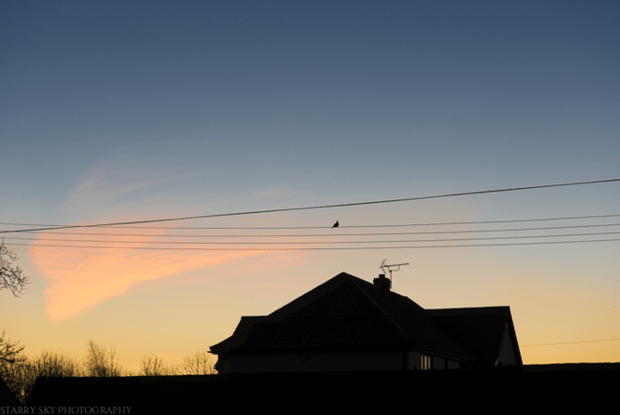 Jan 2015 sunrise web (1 of 1)