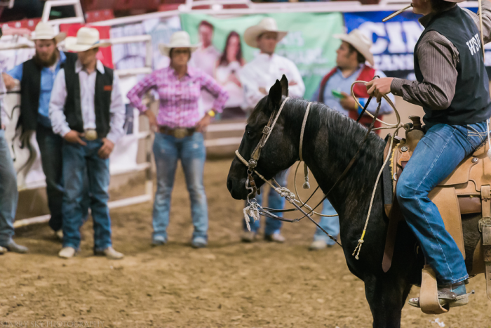 Mar 2015 rodeo web (5 of 18)