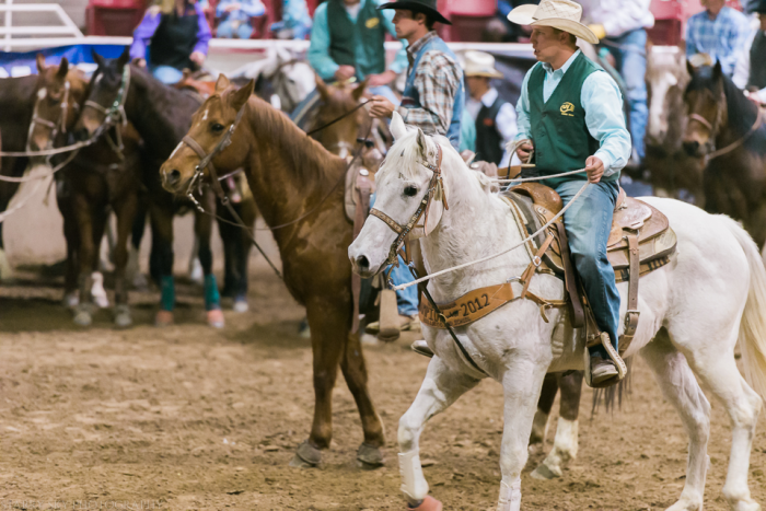 Mar 2015 rodeo web (14 of 18)