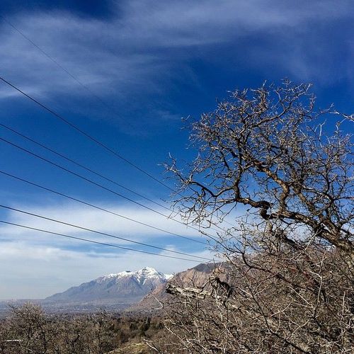 10376717_904429866254458_8076130695953595235_n