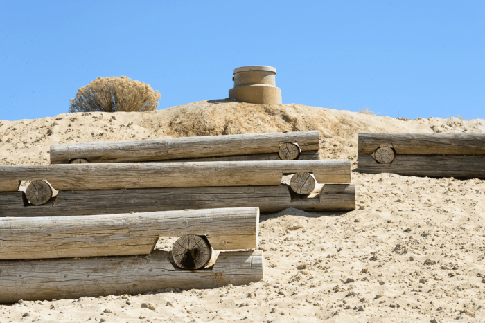 Mar 2015 beach web (9 of 9)