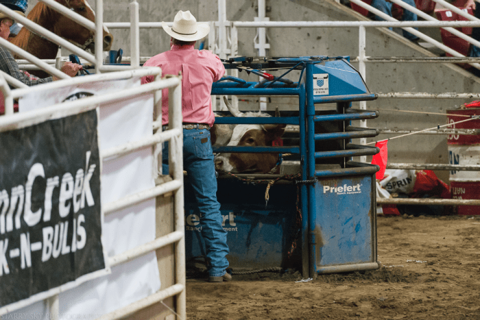 Mar 2015 rodeo web (12 of 18)