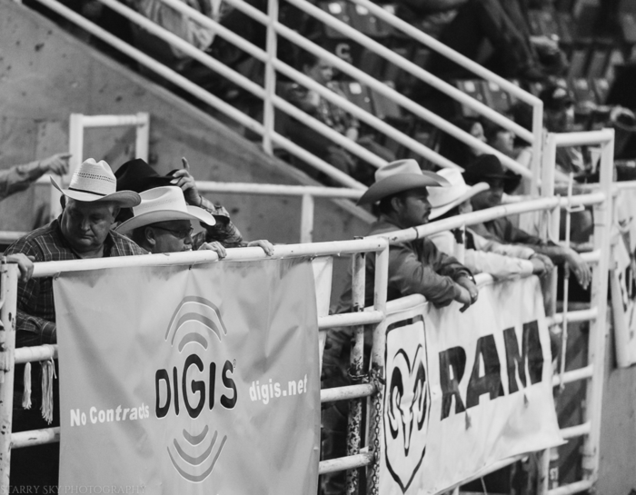 Mar 2015 rodeo web (10 of 18)