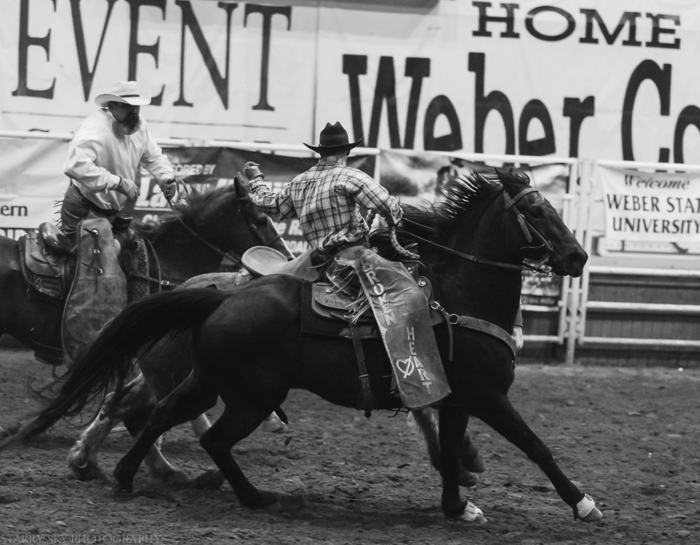 Mar 2015 rodeo web (9 of 18)