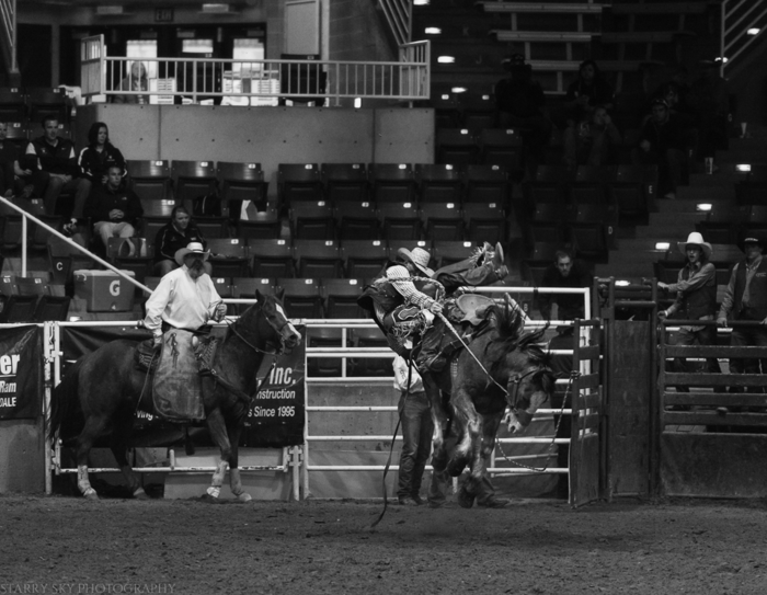 Mar 2015 rodeo web (8 of 18)