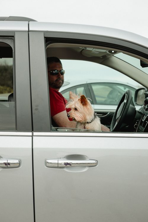 Mar 2015 snowbasin web (1 of 3)