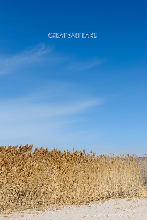 Mar 2015 salt lake web