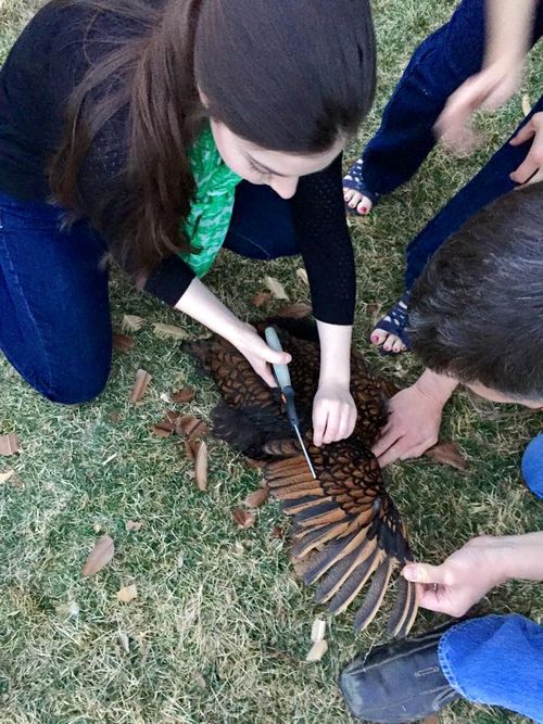 11078082_909841812379930_3019996890883605749_n