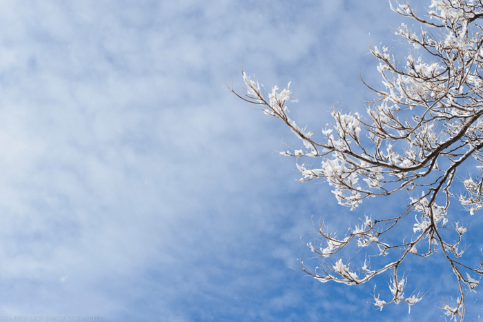 Mar 2015 snow web (12 of 18)