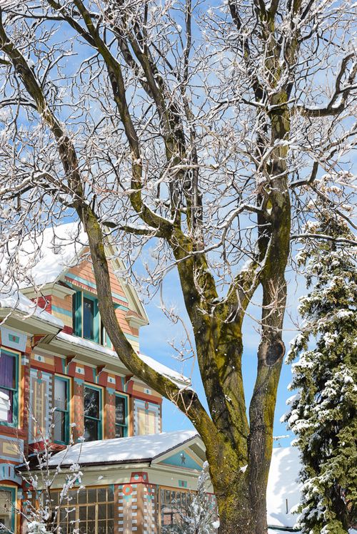 Mar 2015 snow web (1 of 1)