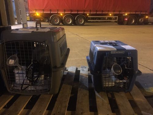 11001528_900483733315738_3811672112671482238_o