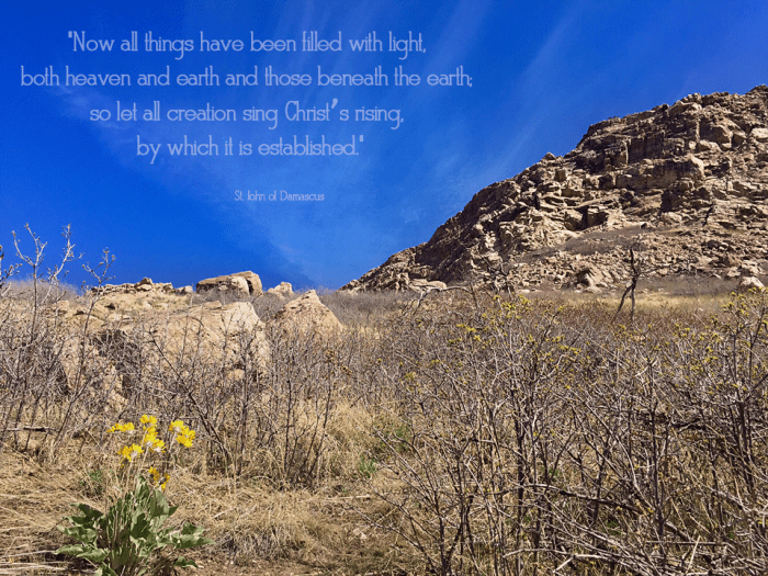 Sing christs rising web