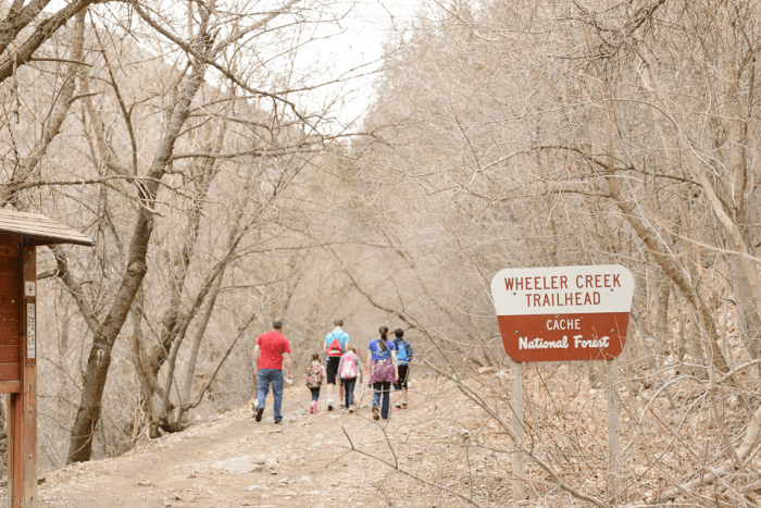 Mar  2015 wheeler creek web (1 of 15)