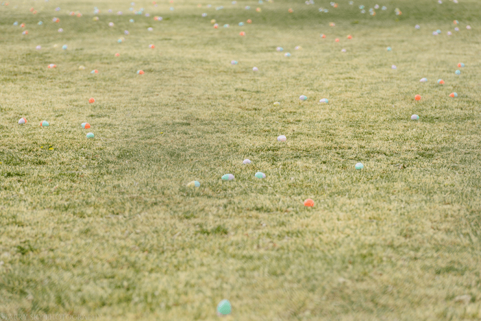 Apr 2015 egg hunt web (1 of 1)-3
