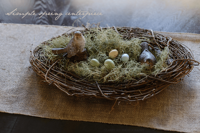 Apr 2015 centerpiece web