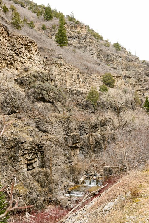 Mar  2015 wheeler creek web (2 of 15)